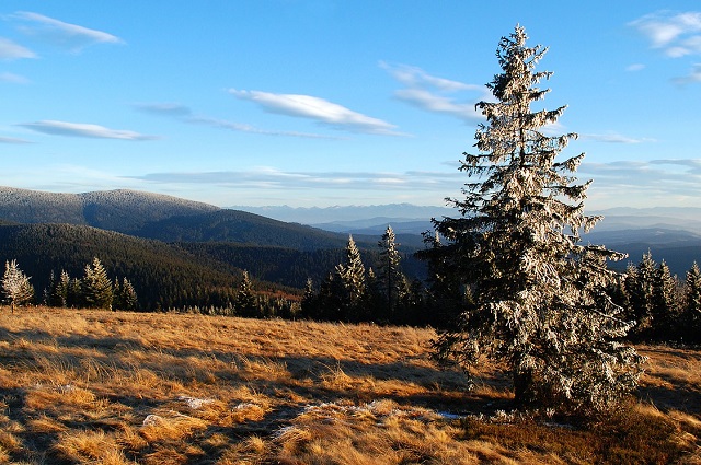 Widok z Rysianki w Beskidach