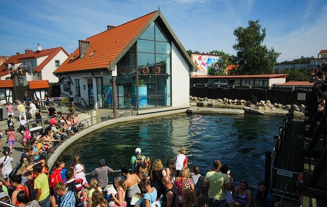 Fokarium na Helu