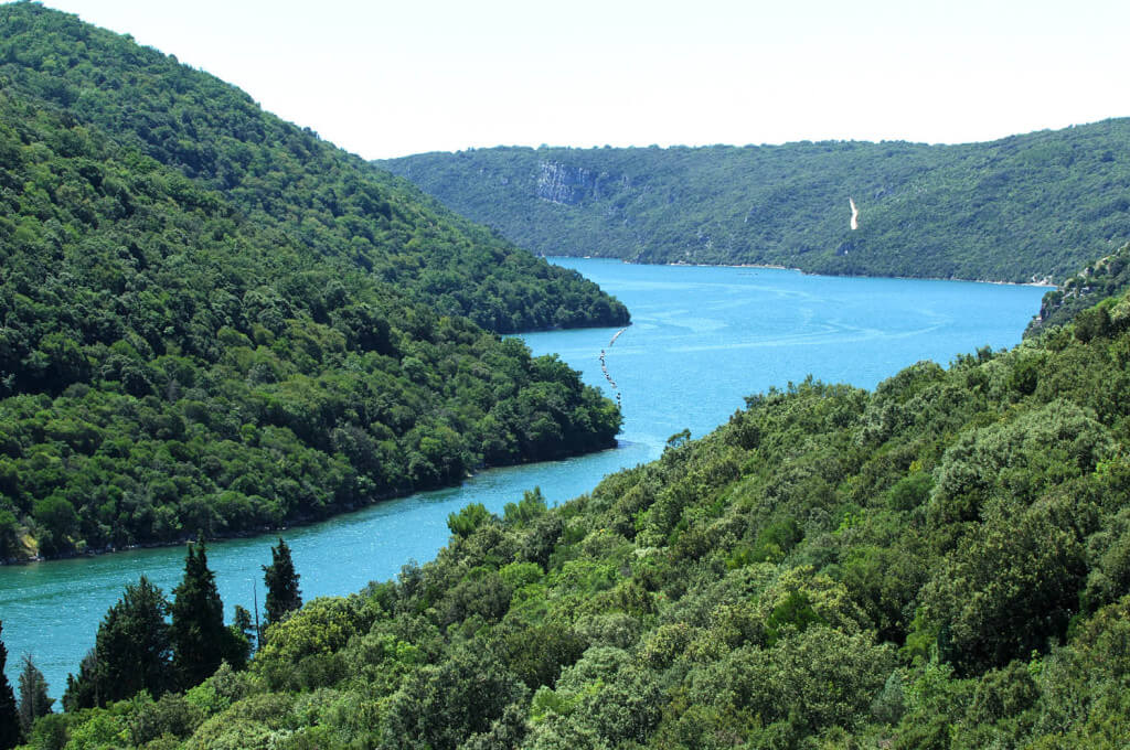 kanal limski