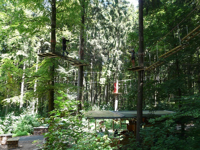 park linowy w Zamościu width=